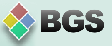 BGS Web Design